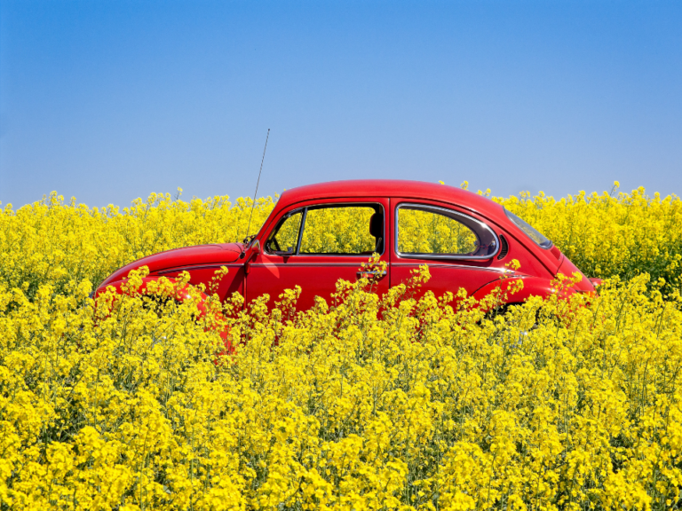 VW Käfer Motorschaden