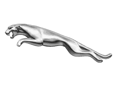 Jaguar Motor kaufen